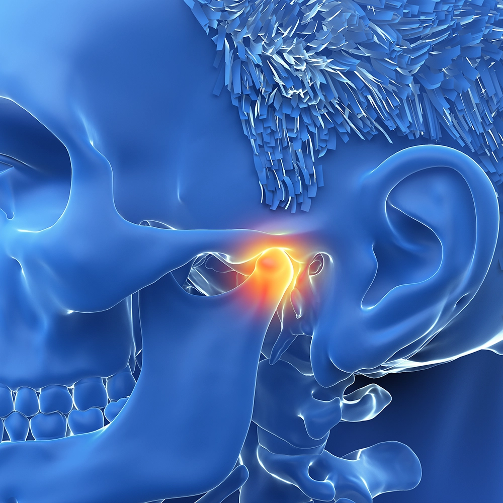 Head anatomy illustration highlighting the inner ear, indicating pain.