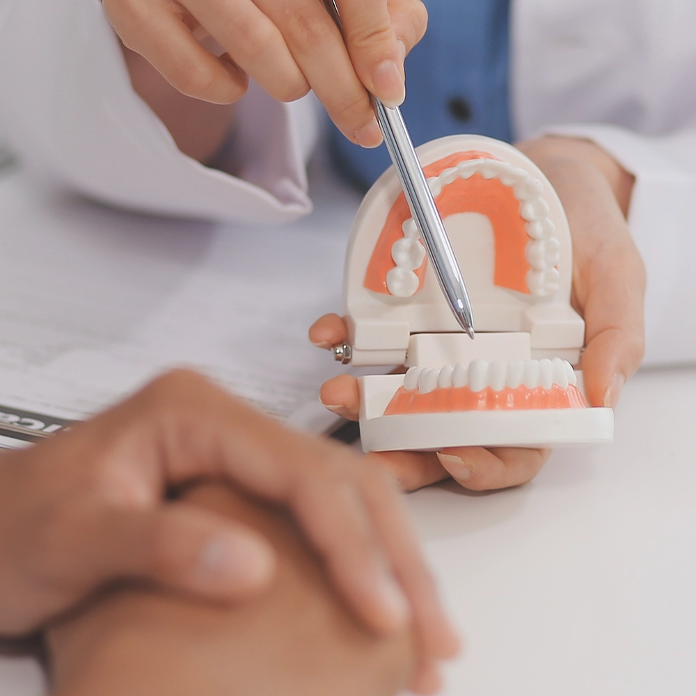 A dentist explaining something using a teeth model.