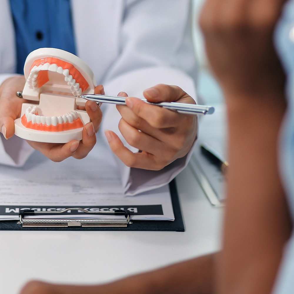 A dentist explaining something using a teeth model.