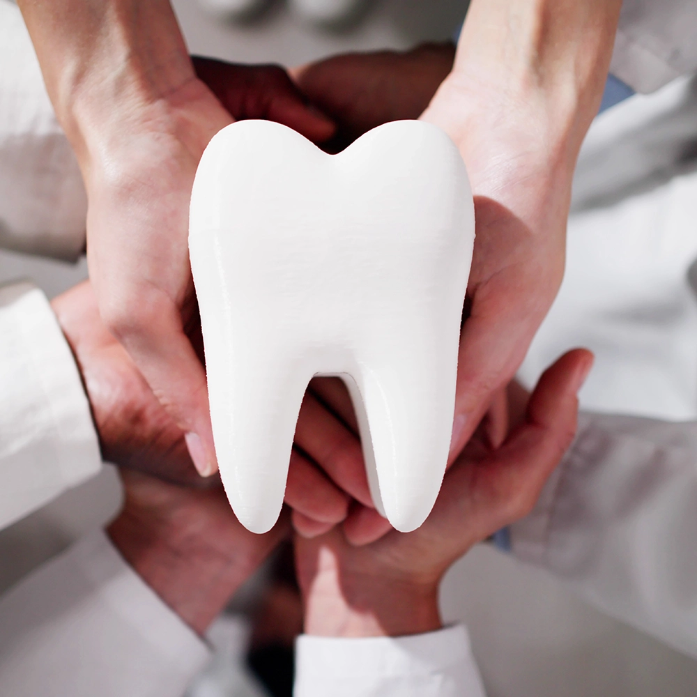 Several hands holding a large model of a tooth.