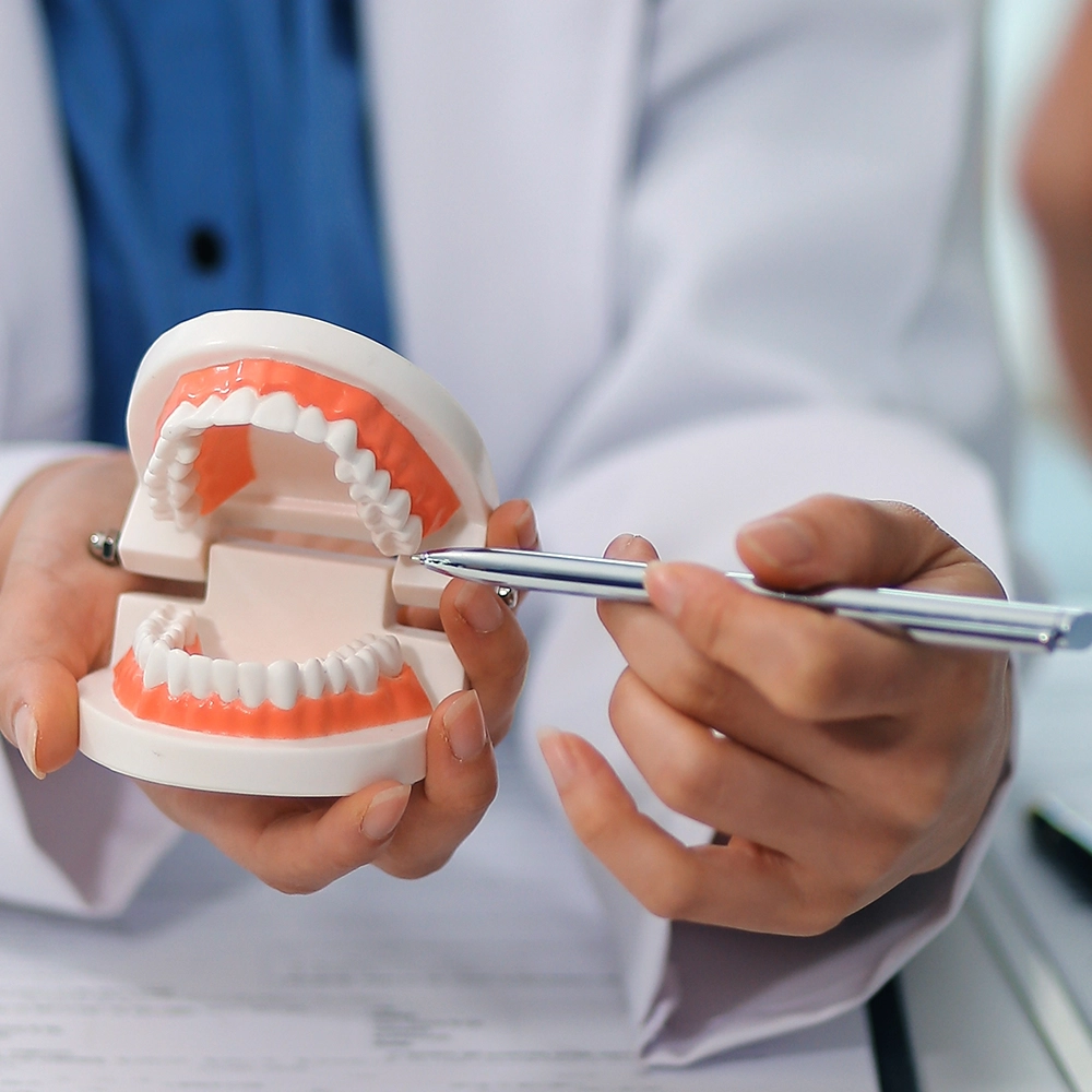 3D dental printer used for creating dental models or restorations.